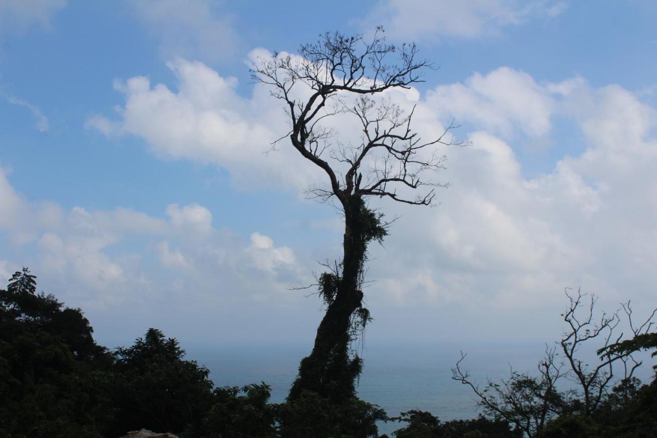 Cham Island Smiles Homestay Tân Hiệ Esterno foto